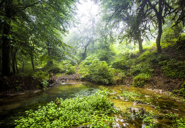 رهایی گروگان ۱۶ ساله در بندرترکمن و چند خبر کوتاه از گلستان