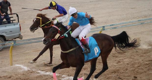مسابقات اسب دوانی کورس بهاره کشور در یزد آغاز شد