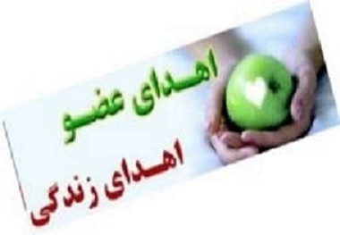 جوان یاسوجی جان سه بیمار را نجات داد