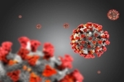 خطر سرایت ویروس کرونا در گچساران جدی است
