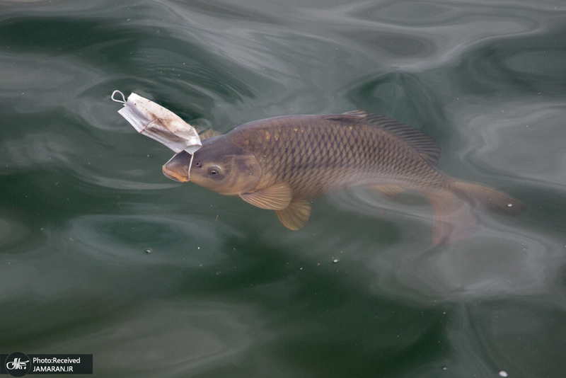 منتخب تصاویر امروز جهان- 14 فروردین 1400