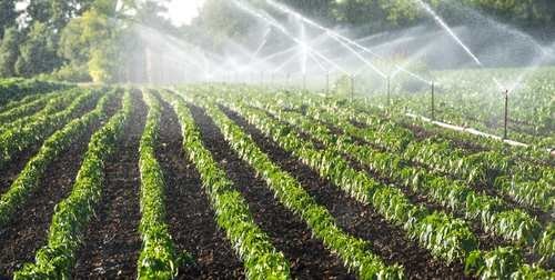 کشاورزی چهارمحال و بختیاری در بحران خشکسالی نیازمند اجرای طرح آبیاری نوین