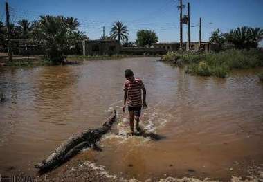 4 روستای شهرستان دیر در معرض سیلاب قرار گرفتند