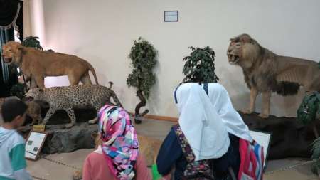 بازدید رایگان از موزه تاریخ طبیعی اردبیل در روز جهانی موزه