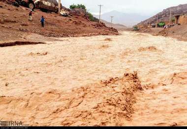 گاز 210 خانوار تالشی برقرار شد