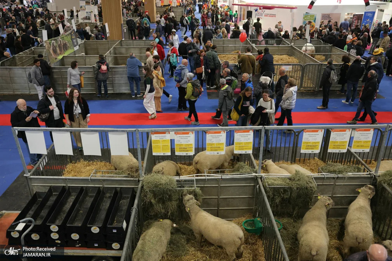 منتخب تصاویر امروز جهان - 7 اسفند 1403