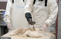 تغسیل با آب متوفیان مبتلا به کرونا در بهشت زهرا(س) تهران