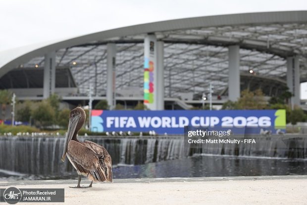 احتمال لغو بازی فرانسه و عراق در جام جهانی 2026