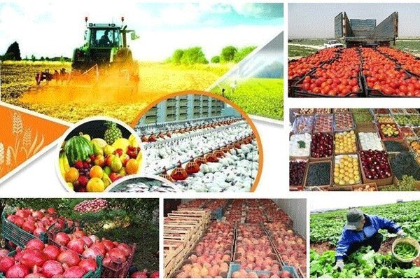 ۵۷ پروژه بخش کشاورزی در سرایان به بهره برداری می‌رسد