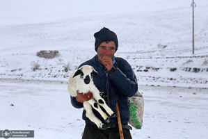 منتخب تصاویر امروز جهان-21 آبان 1400