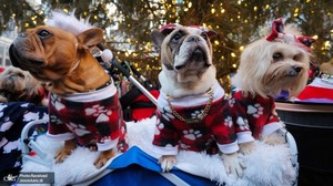 منتخب تصاویر امروز جهان- 6 دی 1400