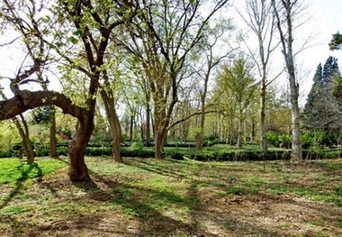 دستگیری غارتگران طبیعت در بخش طارم سفلی