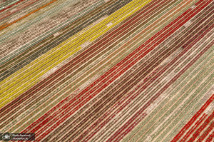 منتخب تصاویر امروز جهان- 23 اردیبهشت 1400