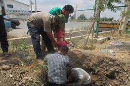 نجات معجزه‌آسای یک کارگر پس از سقوط در کانال ۸ متری