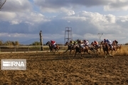 برترین‌های هفته پنجم مسابقات کورس اسب کشور در اهواز