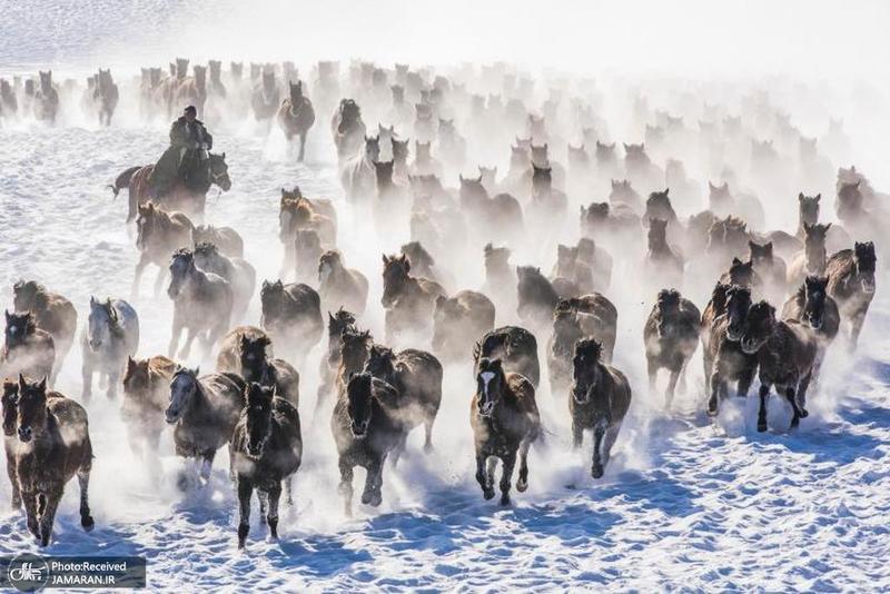 منتخب تصاویر امروز جهان- 7 دی 1400