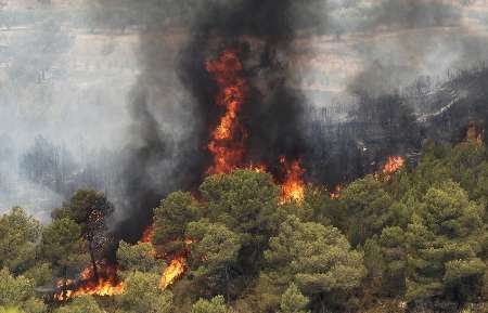 آتش سوزی در منطقه حفاظت شده کوه دیل گچساران مهار شد