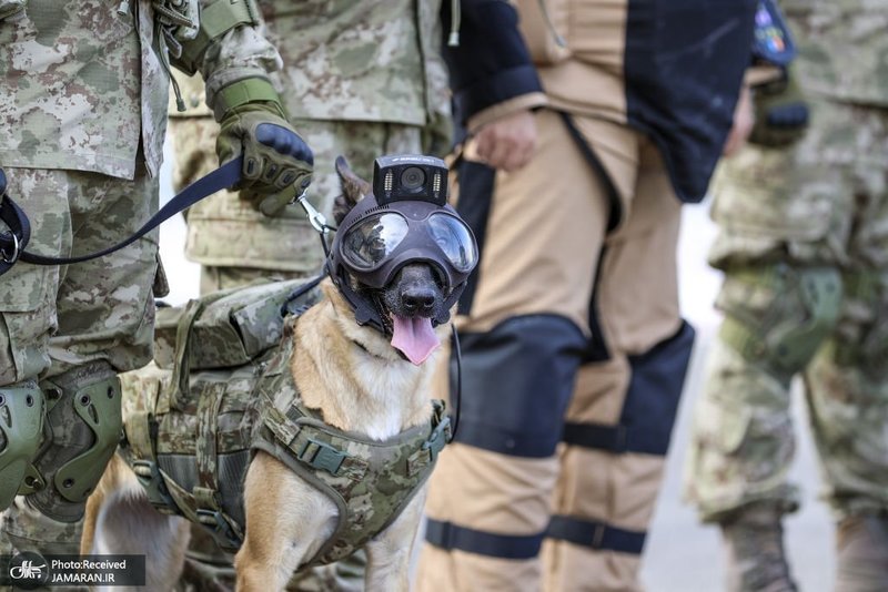 منتخب تصاویر امروز جهان - 15 آذر 1401