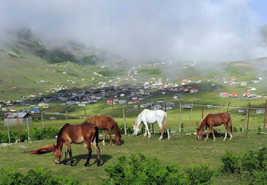 «سوباتان» زیر پای تخریب گران محیط زیست/ تصاویر