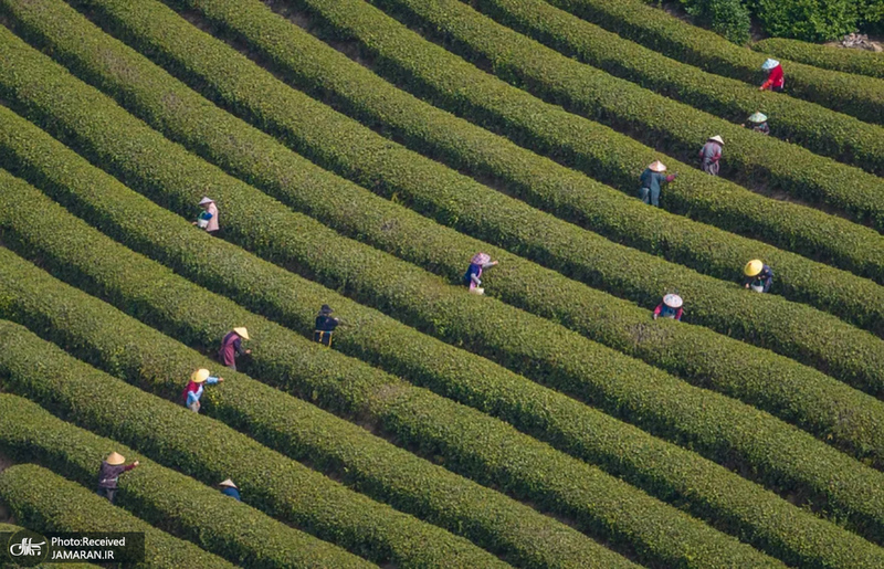 منتخب تصاویر امروز جهان - 15 و 16 فروردین 1404