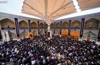 مراسم عزاداری شهادت حضرت فاطمه (س) در حرم امام علی(ع) (5)