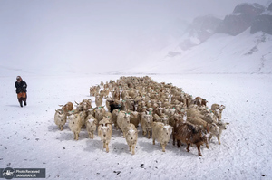 منتخب تصاویر امروز جهان - 1 اردیبهشت 1404