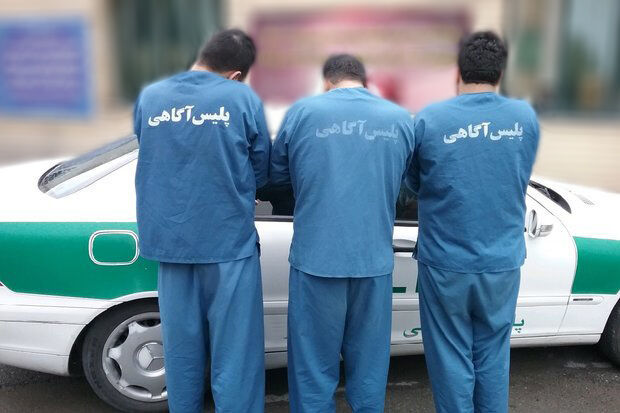 دو باند سرقت «شاپور» و «یاشار» در تهران متلاشی شد
