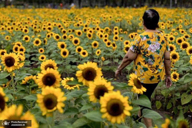 منتخب تصاویر امروز جهان- 1 بهمن 1400