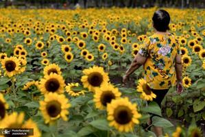 منتخب تصاویر امروز جهان- 1 بهمن 1400