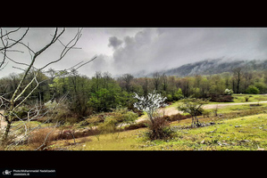 دریاچه آویدر نوشهر