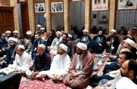 مراسم بزرگداشت علی اکبر محتشمی پور و سید محمود دعایی دو یار دیرین امام در نجف (8)