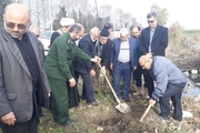 درختکاری حاشیه جاده آزادشهر - گنبدکاووس آغاز شد