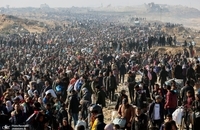 تصاویر جدید از بازگشت فلسطینی به شمال نوار غزه (8)