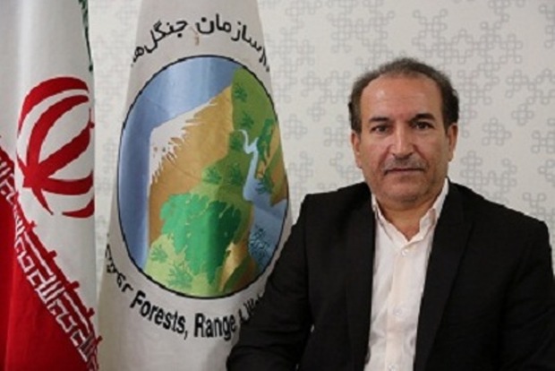 64 طرح آبخیزداری در خراسان رضوی در حال اجراست