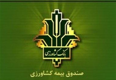 کاهش 50 درصدی بیمه محصولات کشاورزی در کامیاران