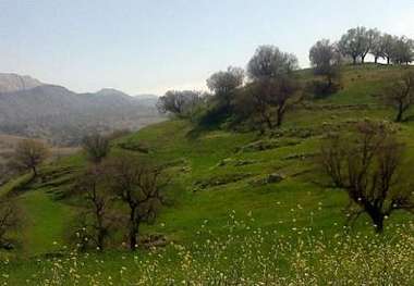 100 هزار مسافر نوروزی از منطقه گردشگری شلال دون باشت دیدن کردند