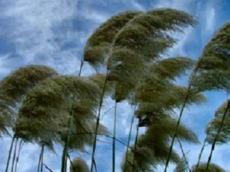 افزایش شدت وزش باد در خراسان رضوی