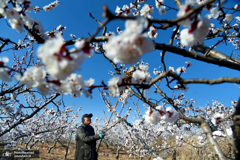 منتخب تصاویر امروز جهان - 28 اسفند 1403