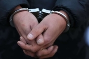 عامل دستبرد به ۸۰ خودرو در تربت‌حیدریه دستگیر شد
