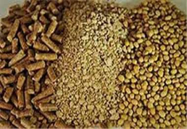 12 هزار و 500 کیلوگرم خوراک دام و طیور غیربهداشتی در اراک کشف شد