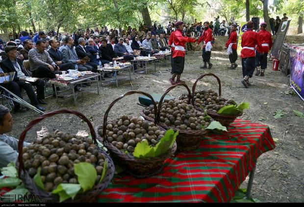 فرماندار بجنورد:افزایش ماندگاری مسافران مستلزم وجود زیرساخت های گردشگری است