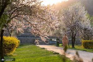 منتخب تصاویر امروز جهان - 1 فروردین 1401