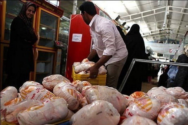 قیمت عرضه مرغ در بازار 12 هزار و 900 تومان است