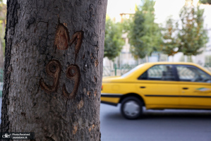 منتخب تصاویر امروز جهان- 3 مرداد 1400