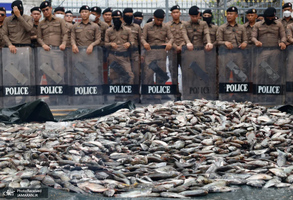 منتخب تصاویر امروز جهان - 28 اسفند 1403