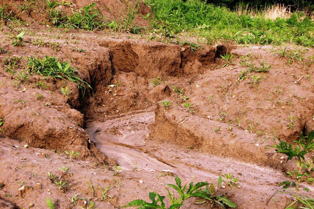 فرسایش خاک در چهارمحال وبختیاری ۴ برابر میانگین  جهانی است