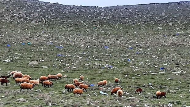 شهرداری بر دفن زباله‌های بیمارستانی نظارت کافی دارد