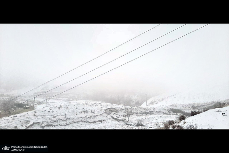 برف و مه در تهران - 21 دیماه 1401