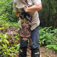 منتخب تصاویر امروز جهان - 1 بهمن 1401