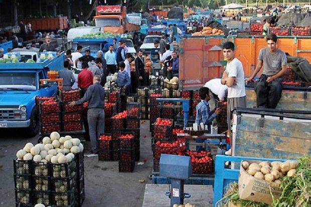 خاش با تولید ۳۵۰ هزار تن محصول کشاورزی میدان میوه و تره‌بار ندارد